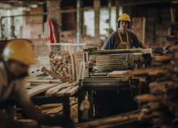 Trabajadores en aserradero